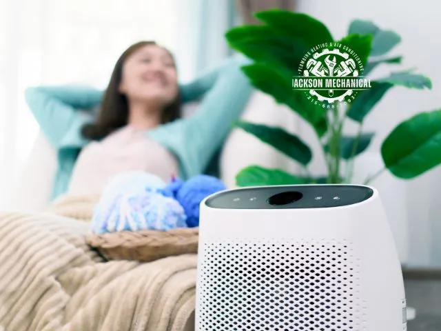 dehumidifier benefits