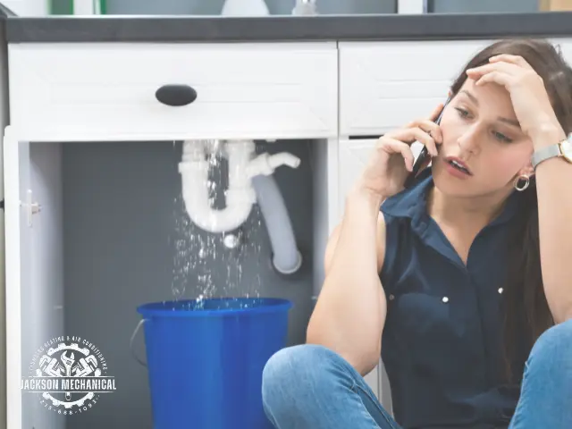 holiday plumbing survival guide